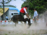 /album/galeria-de-fotos/pedro-henrique-079-jpg/